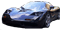 Motorist Assurance Program