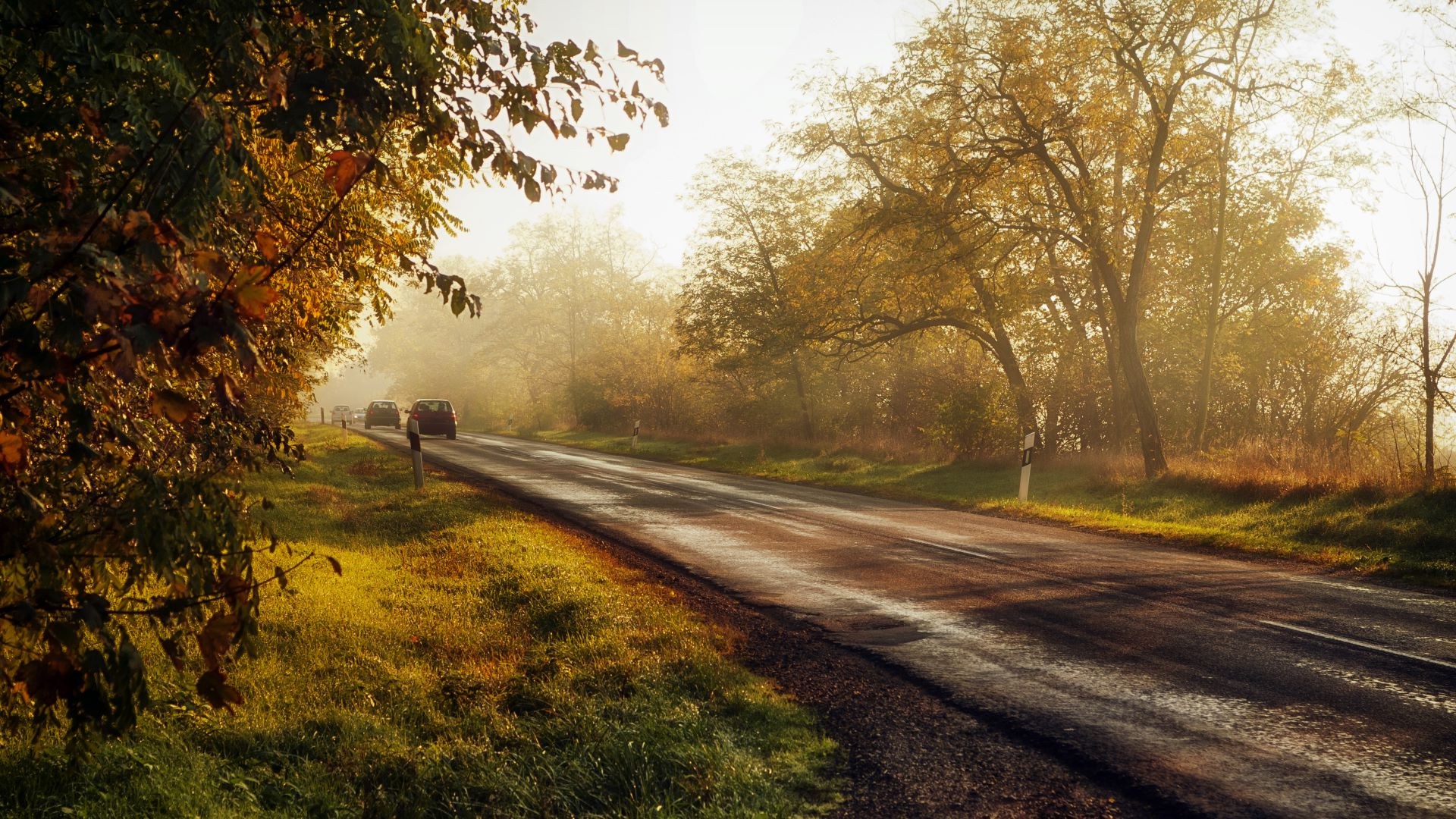Open road through autumn countryside